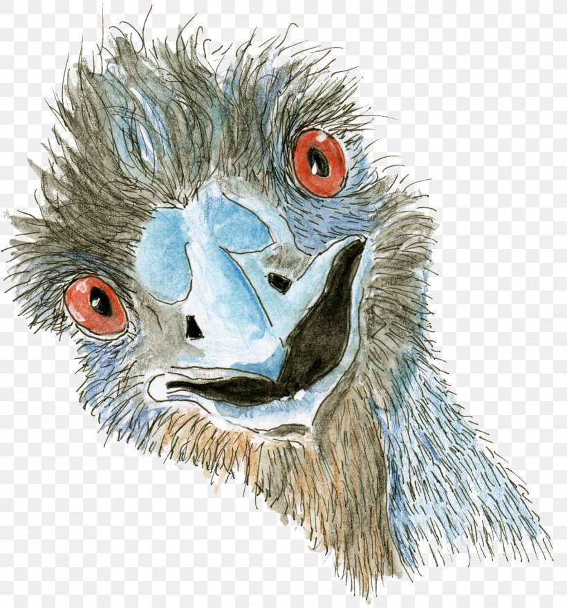 Beak Emu Flightless Bird Feather, PNG, 1268x1360px, Beak, Art, Bird, Bird Of Prey, Blue Download Free