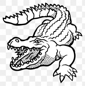 Crocodile - Crocodile Alligators Clip Art Vector Graphics Illustration PNG