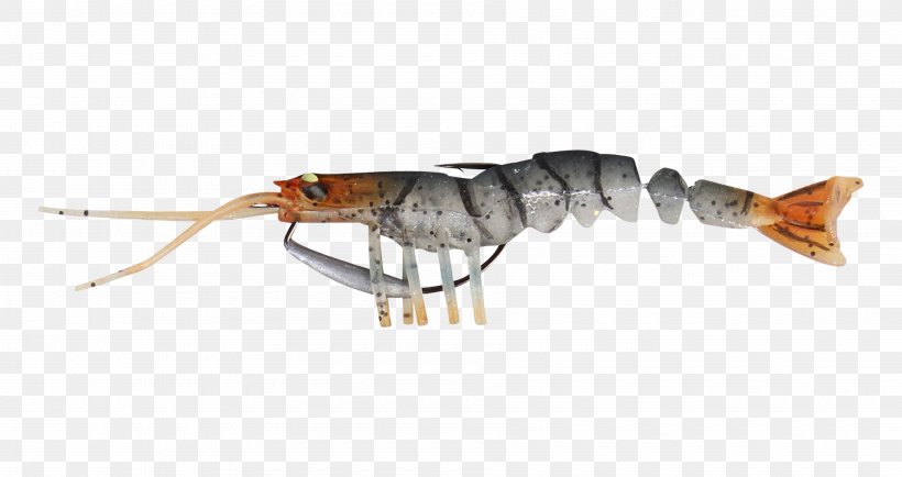 Fishing Baits & Lures Recreational Fishing, PNG, 3600x1908px, Fishing Baits Lures, Angling, Animal Source Foods, Bait, Caridea Download Free