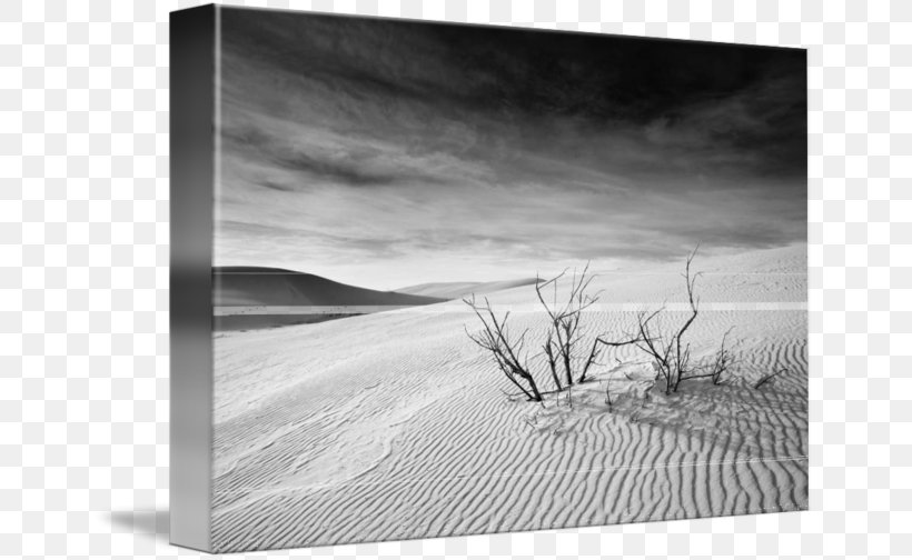 Still Life Photography Picture Frames Stock Photography, PNG, 650x504px, Photography, Artwork, Black And White, Film Frame, Landscape Download Free