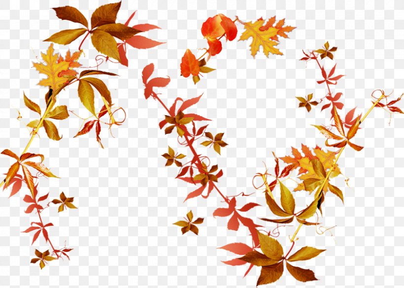 Autumn Leaves Flower Clip Art, PNG, 840x600px, Autumn Leaves, Artwork, Autumn, Branch, Charcoal Download Free