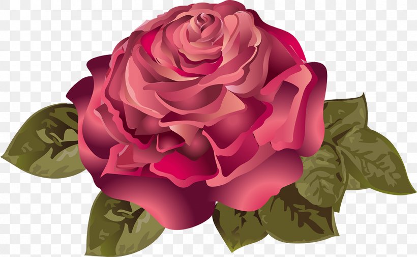 Garden Roses Still Life: Pink Roses Flower Rosaceae Rosa Chinensis, PNG, 1200x740px, Garden Roses, Beach Rose, Cut Flowers, Floral Design, Floribunda Download Free