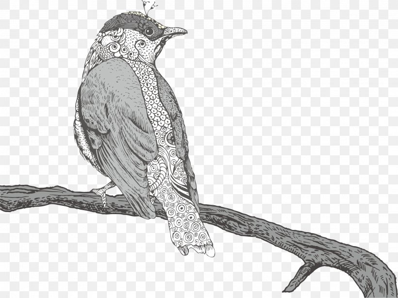 Drawing Royalty-free Illustration, PNG, 2222x1664px, Drawing, Art, Beak, Bird, Black And White Download Free