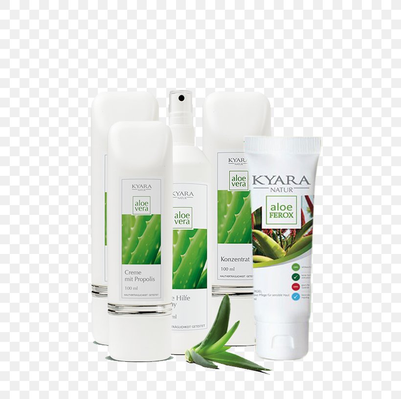 Lotion Plants Product, PNG, 611x817px, Lotion, Plant, Plants, Skin Care Download Free