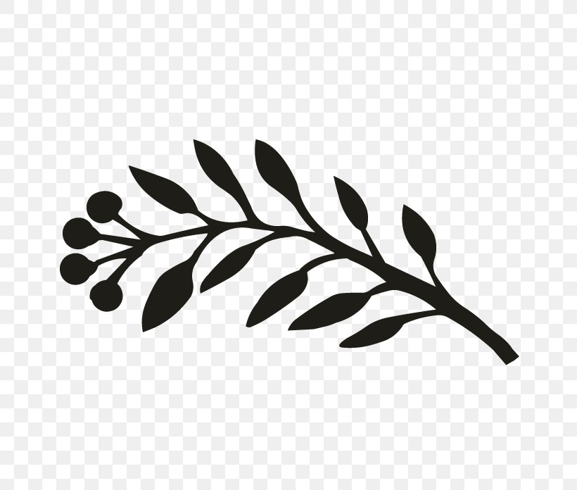 Monochrome Photography Black And White Twig Leaf, PNG, 696x696px, Monochrome Photography, Black, Black And White, Branch, Leaf Download Free