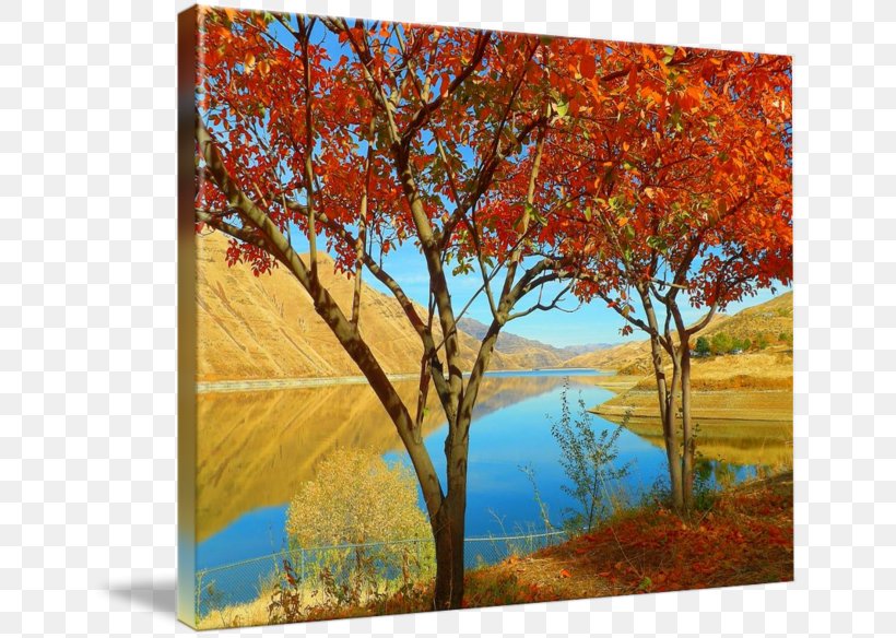 Painting Acrylic Paint Gallery Wrap Landscape, PNG, 650x584px, Painting, Acrylic Paint, Acrylic Resin, Art, Autumn Download Free