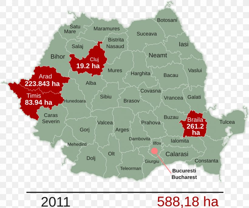 Romania Genetically Modified Organism Genetics Genetically Modified Crops Genetically Modified Food, PNG, 1200x1005px, Romania, Evolution, Gene Mapping, Genetically Modified Crops, Genetically Modified Food Download Free