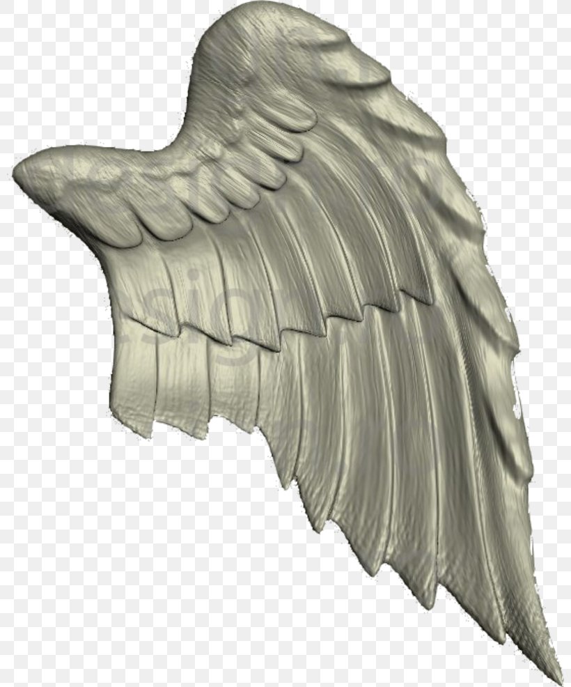 Angel AddThis, PNG, 800x986px, Angel, Addthis, Border, Copyright, Email Download Free