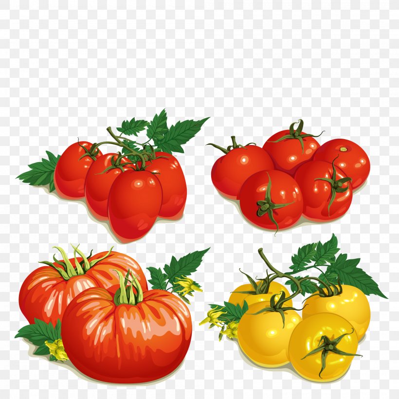 Cherry Tomato Tomato Soup Vegetable, PNG, 2000x2000px, Cherry Tomato, Bell Pepper, Bell Peppers And Chili Peppers, Bush Tomato, Diet Food Download Free