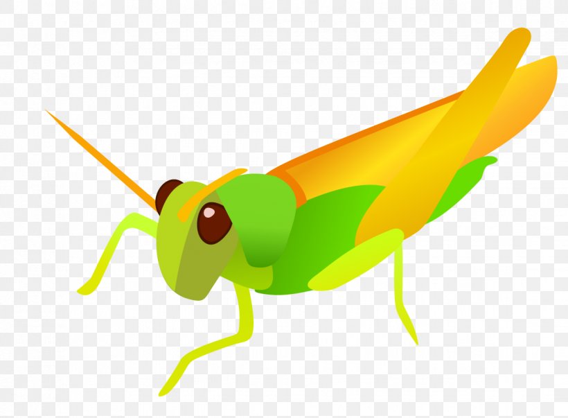 Clip Art, PNG, 1122x826px, Insect, Caelifera, Cartoon, Cicadidae, Fauna Download Free