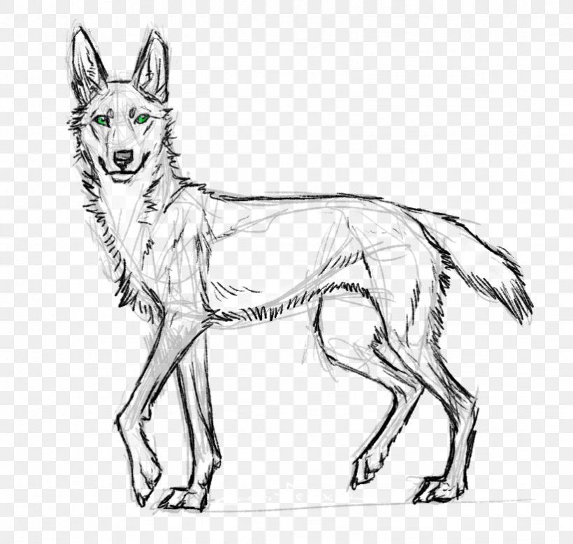 Dog Breed Red Fox Line Art Drawing, PNG, 822x781px, Dog Breed, Artwork, Black And White, Breed, Carnivoran Download Free