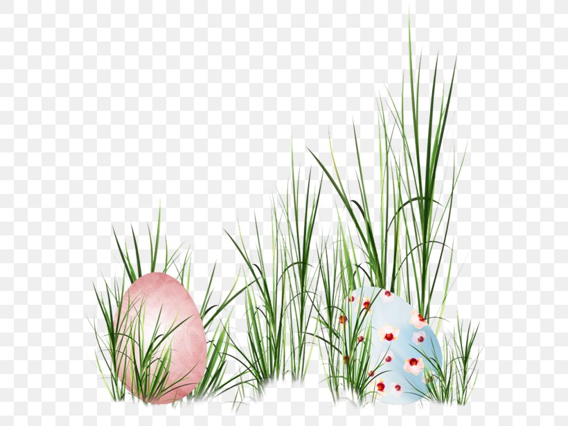 Grass Eggs, PNG, 600x615px, Easter Bunny, Cake, Chocolate, Cupcake, Easter Download Free