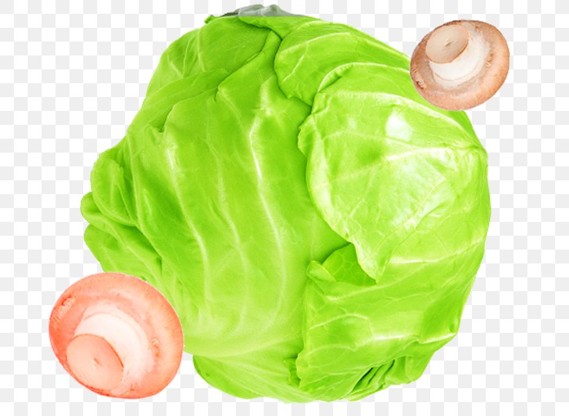 Israeli Salad Fruit Salad Cabbage Vegetable, PNG, 700x600px, Israeli Salad, Cabbage, Cooking, Cucumber, Cuisine Download Free