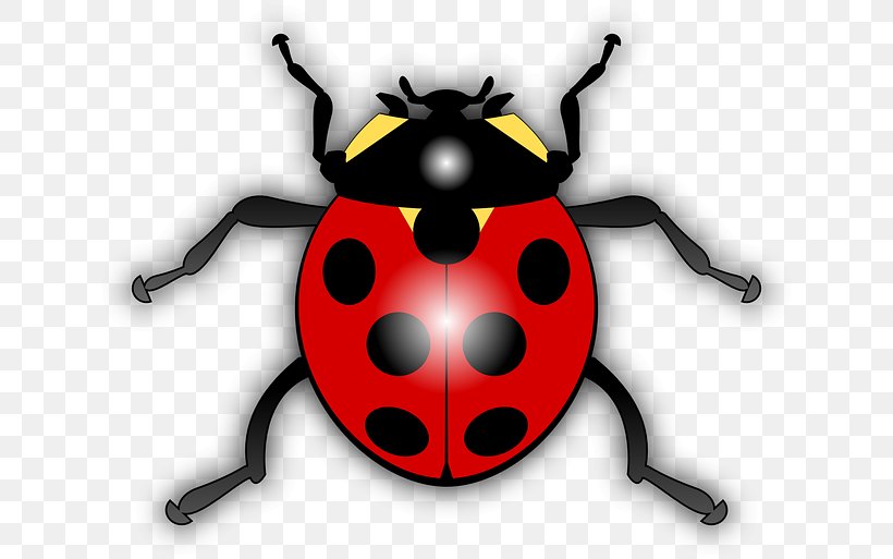 Ladybird YouTube Clip Art, PNG, 640x513px, Ladybird, Arthropod, Beetle, Drawing, Insect Download Free