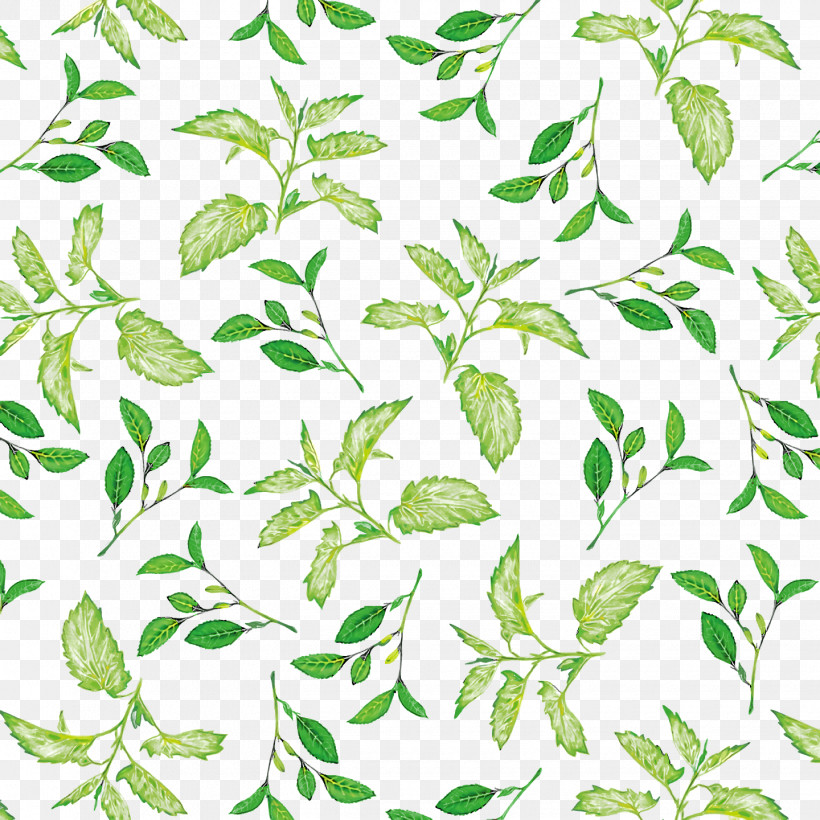 Plant Stem Leaf Flower Green Pattern, PNG, 1440x1440px, Plant Stem, Biology, Flower, Green, Leaf Download Free