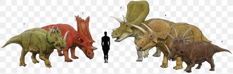 Torosaurus Centrosaurus Triceratops Chasmosaurus Styracosaurus, PNG, 1280x409px, Torosaurus, Agujaceratops, Animal Figure, Cattle Like Mammal, Centrosaurus Download Free