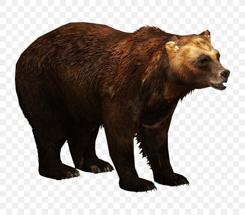 Zoo Tycoon 2 Kamchatka Brown Bear Ulquiorra Cifer Eurasian Brown Bear, PNG, 721x721px, Zoo Tycoon 2, American Black Bear, Bear, Brown Bear, Carnivora Download Free