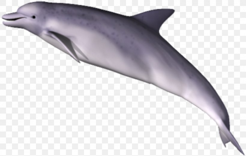 Dolphin Clip Art, PNG, 1024x653px, Dolphin, Aquatic Mammal, Common Bottlenose Dolphin, Ecco The Dolphin, Fauna Download Free