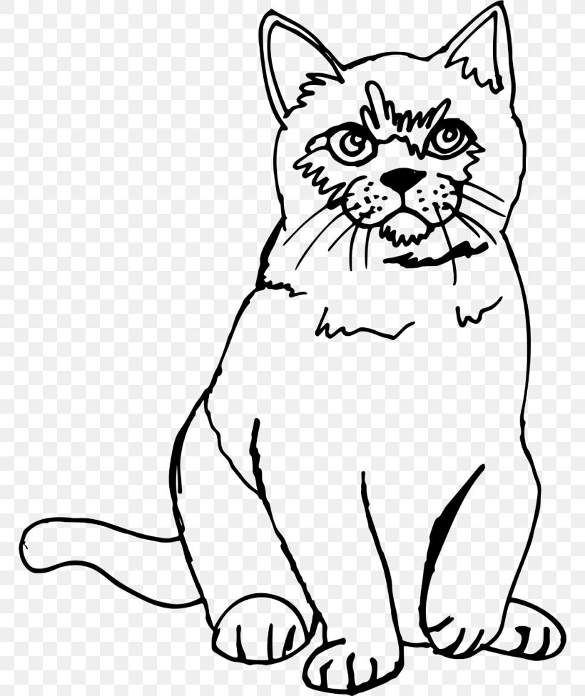 Kitten Sphynx Cat Line Art Drawing Sketch, PNG, 768x976px, Kitten, Big Cat, Black, Black And White, Black Cat Download Free