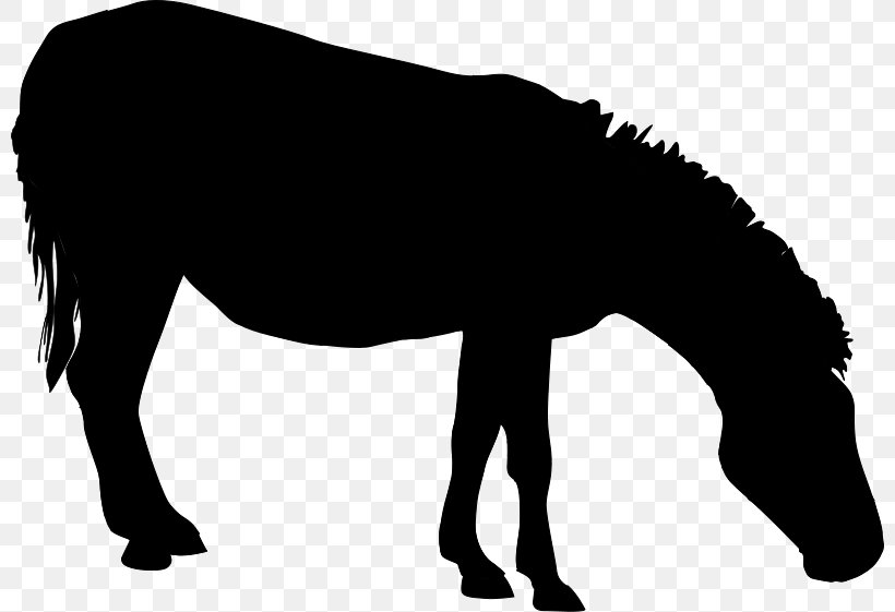 Mule Mustang Mare Stallion Halter, PNG, 800x561px, Mule, Animal Figure, Black White M, Blackandwhite, Burro Download Free