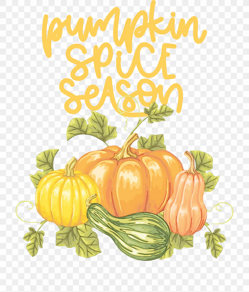Pumpkin, PNG, 2556x2999px, Autumn, Flower, Paint, Pumpkin, Thanksgiving Download Free
