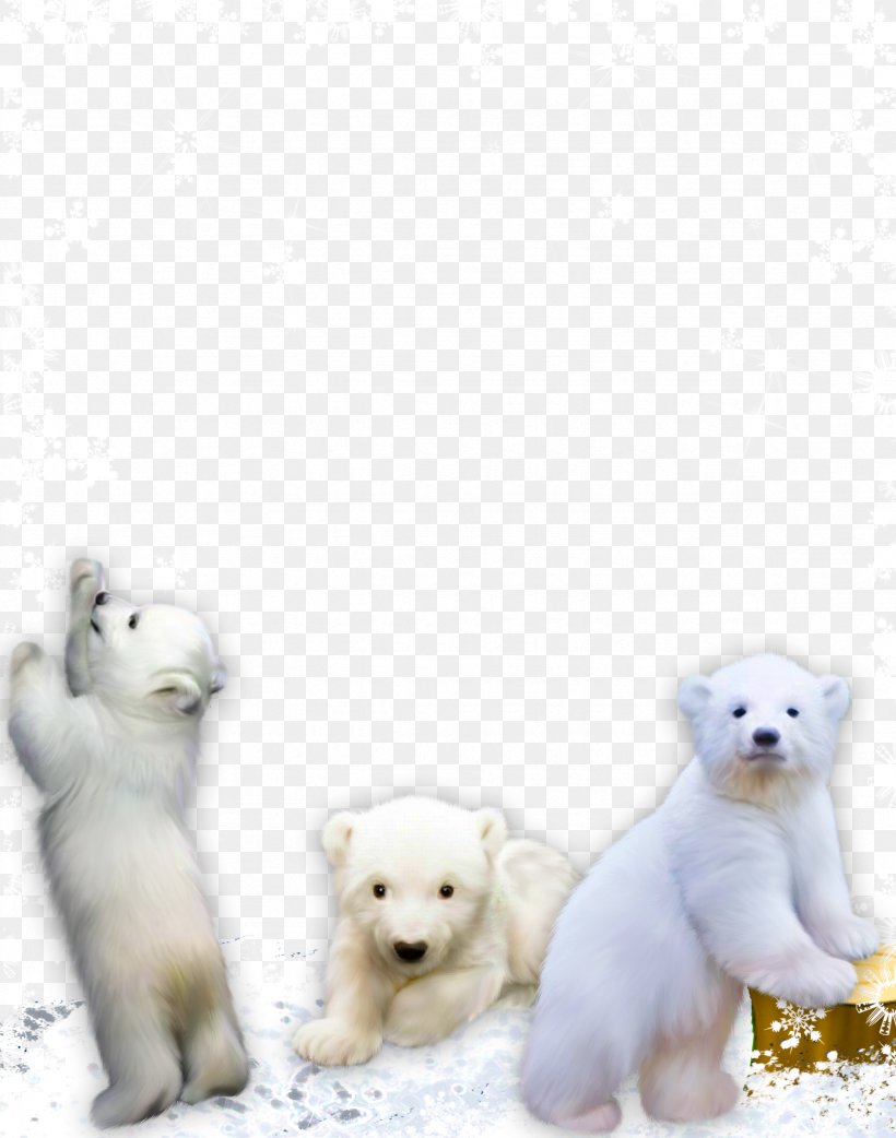 West Highland White Terrier Red Panda Giant Panda Bear Dog Breed, PNG, 2362x3002px, West Highland White Terrier, Bear, Carnivoran, Dog Breed, Dog Breed Group Download Free