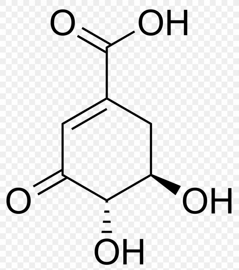 Ankleshwar Benzamide Resorcinol Acid Chemistry, PNG, 905x1023px, 3nitrobenzoic Acid, 4nitrobenzoic Acid, Ankleshwar, Acid, Area Download Free