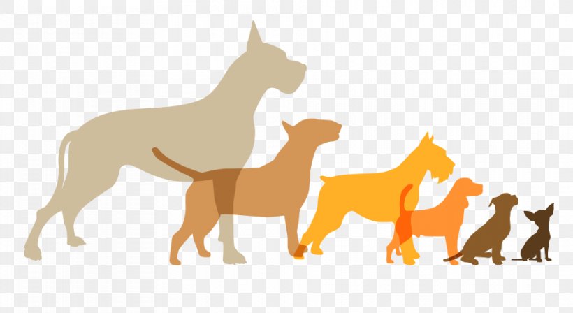 Dog Houses Basset Hound Paw Fototapeta Wallpaper, PNG, 936x512px, Dog Houses, Basset Hound, Carnivoran, Dog, Dog Biscuit Download Free