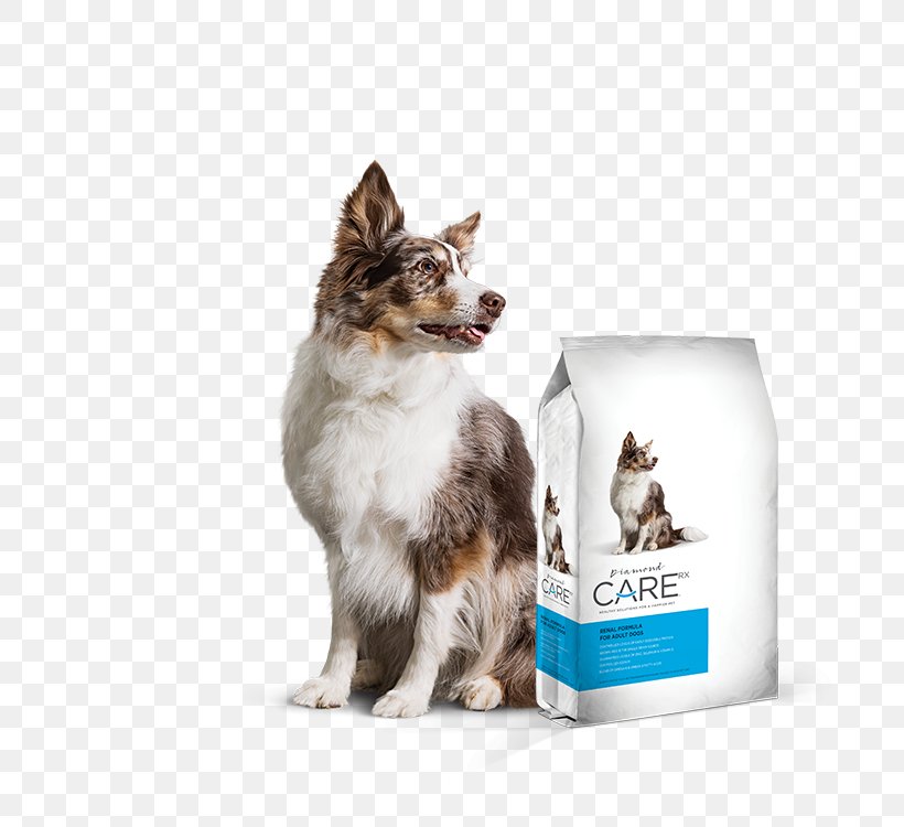 Dog Kidney Failure Kidney Disease Cat Food, PNG, 800x750px, Dog, Acute Kidney Injury, Carnivoran, Cat Food, Chronic Condition Download Free