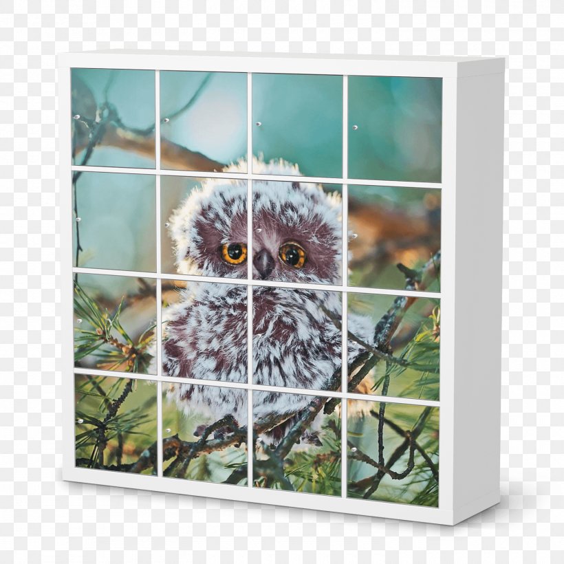 Expedit Window IKEA Picture Frames Armoires & Wardrobes, PNG, 1500x1500px, Expedit, Armoires Wardrobes, Bird Of Prey, Door, Fauna Download Free