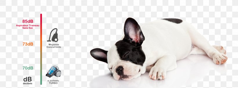 French Bulldog Robotic Vacuum Cleaner E.ziclean ULTRA SLIM V2, PNG, 2000x741px, French Bulldog, Aspirateur Sans Sac, Boston Terrier, Carnivoran, Cleaning Download Free