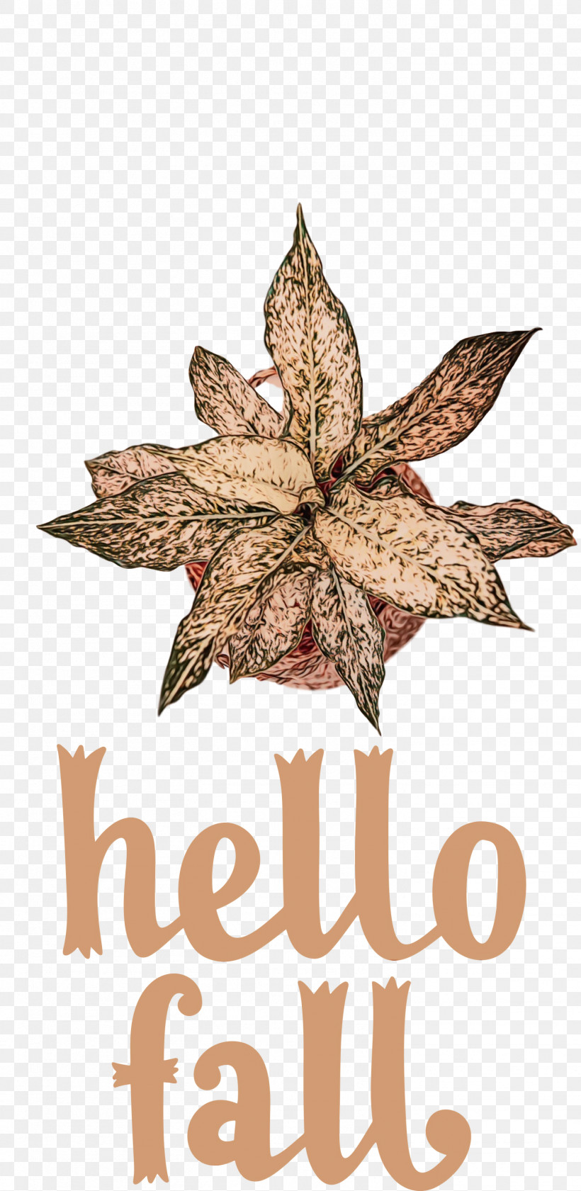 Hello Fall Autumn Cdr Drawing 2020, PNG, 1463x3000px, Hello Fall, Autumn, Cartoon, Cdr, Drawing Download Free