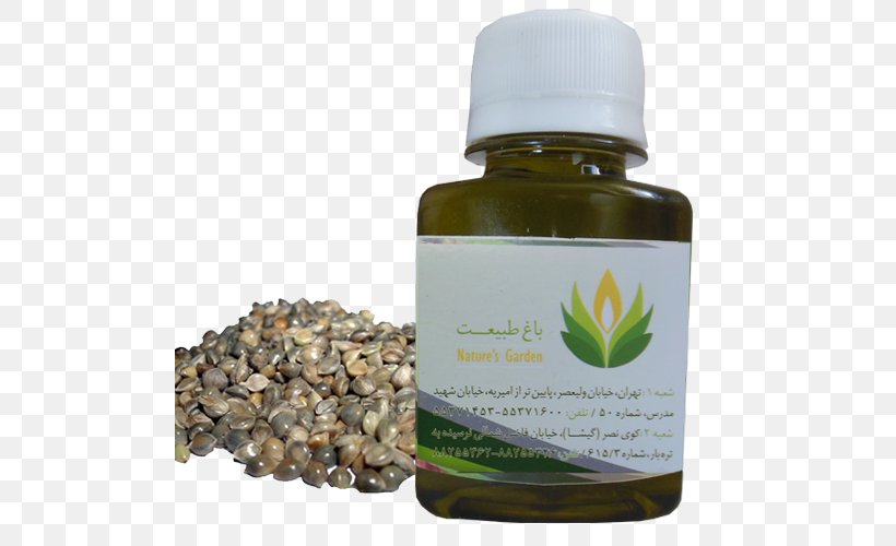 Hemp Oil Fennel Hyssop Herb, PNG, 500x500px, Oil, Fennel, Food, Grape Seed Oil, Hemp Download Free