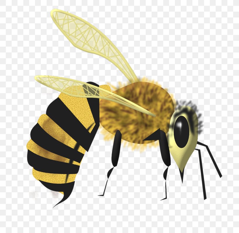 Honey Bee Cartoon, PNG, 709x800px, Honey Bee, Arthropod, Bee, Cartoon, Clay Download Free