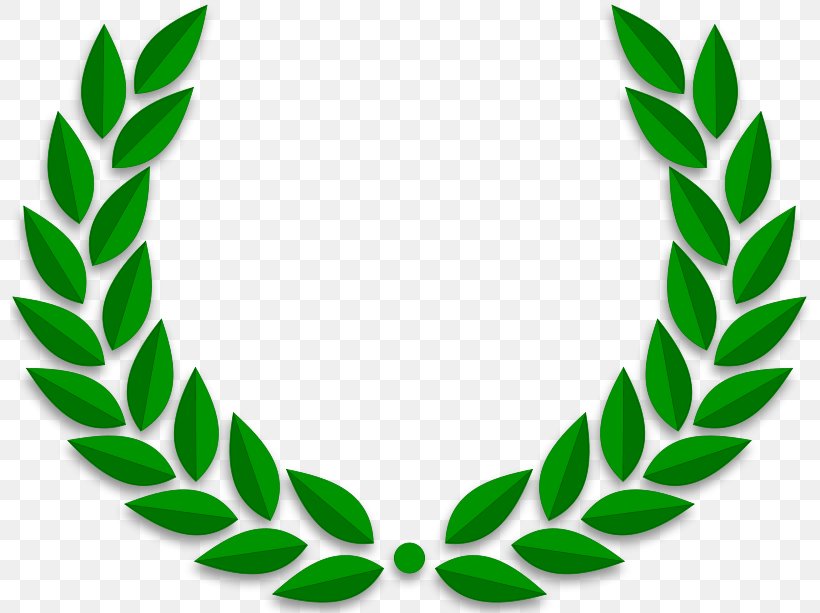 Laurel Wreath Bay Laurel Olive Wreath Clip Art, PNG, 800x613px, Laurel Wreath, Artwork, Bay Laurel, Body Jewelry, Free Content Download Free