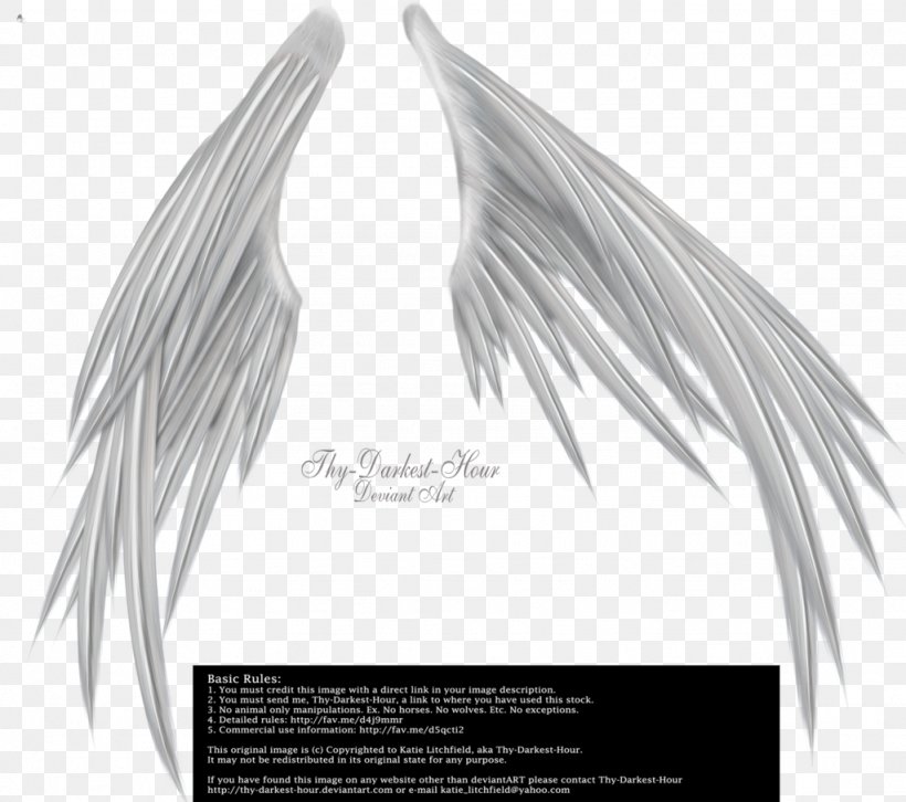 Silver, PNG, 1024x907px, Wings Of Madness, Beak, Black And White, Drawing, Feather Download Free