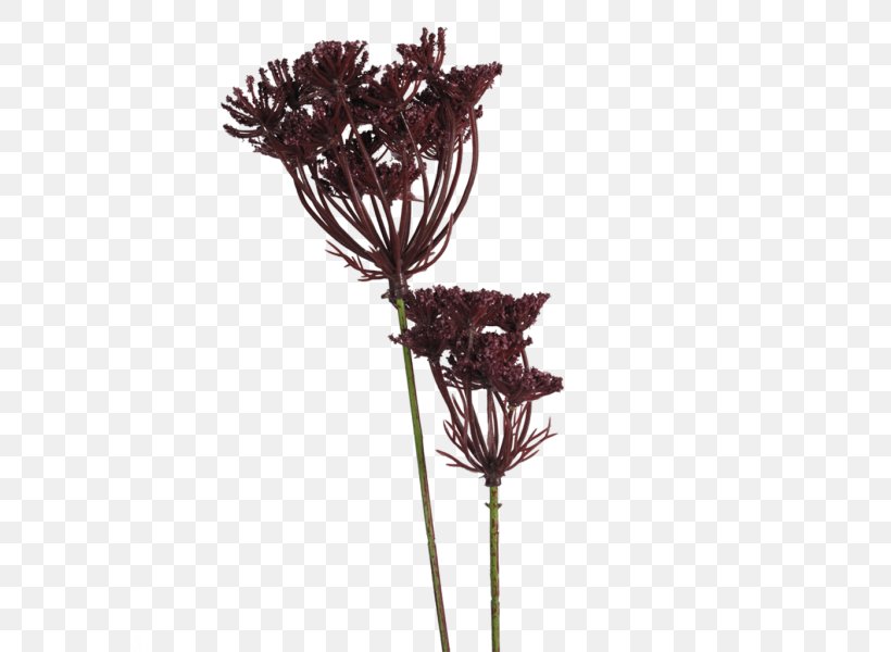 Twig Cut Flowers Artificial Flower Plant Stem, PNG, 600x600px, Twig, Apiaceae, Artificial Flower, Branch, Chervil Download Free