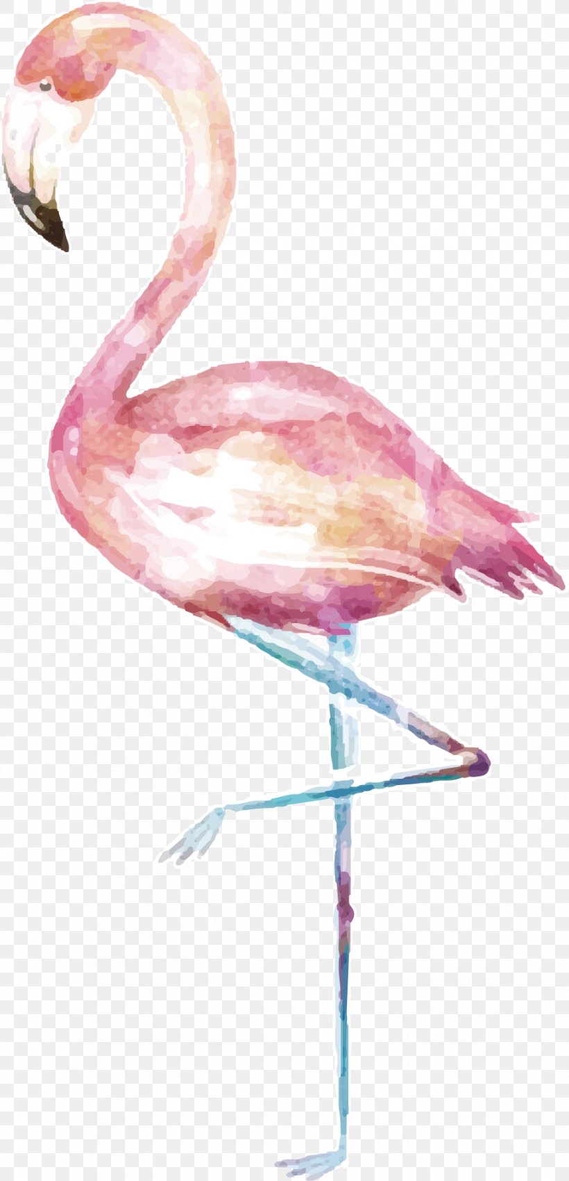 Download U062fu064au0643u0648u0631, PNG, 915x1897px, Watercolor Painting, Adobe Freehand, Beak, Bird, Dots Per Inch Download Free