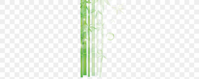 Plant Stem, PNG, 1920x768px, Plant Stem, Grass, Grass Family, Green Download Free