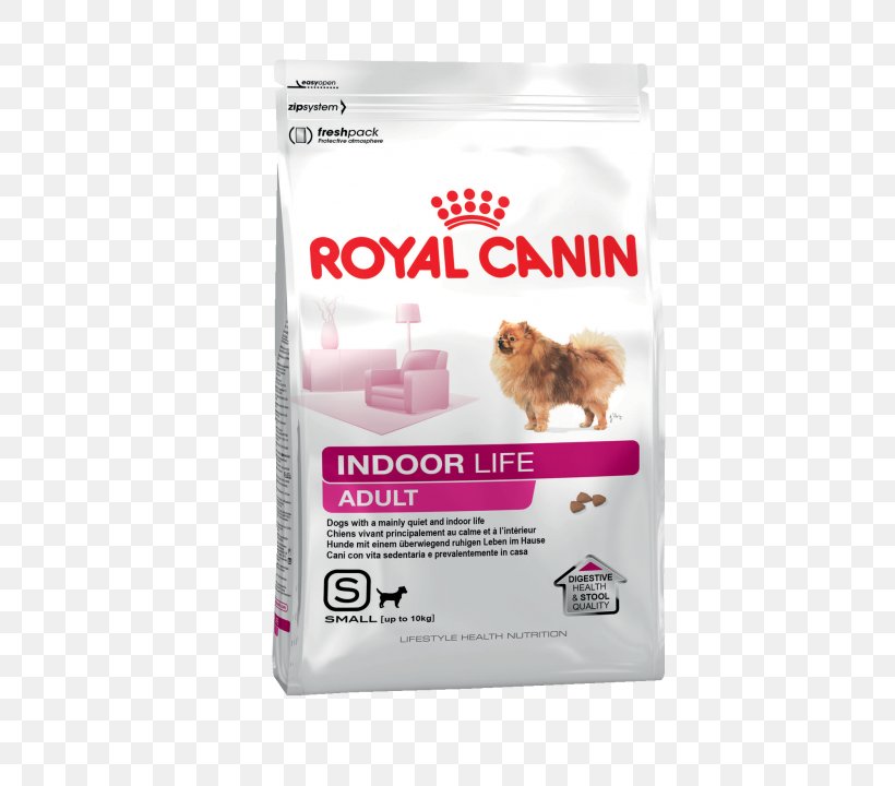 Poodle Labrador Retriever Royal Canin Dog Food Pet, PNG, 720x720px, Poodle, Breed, Dog, Dog Food, Dog Like Mammal Download Free