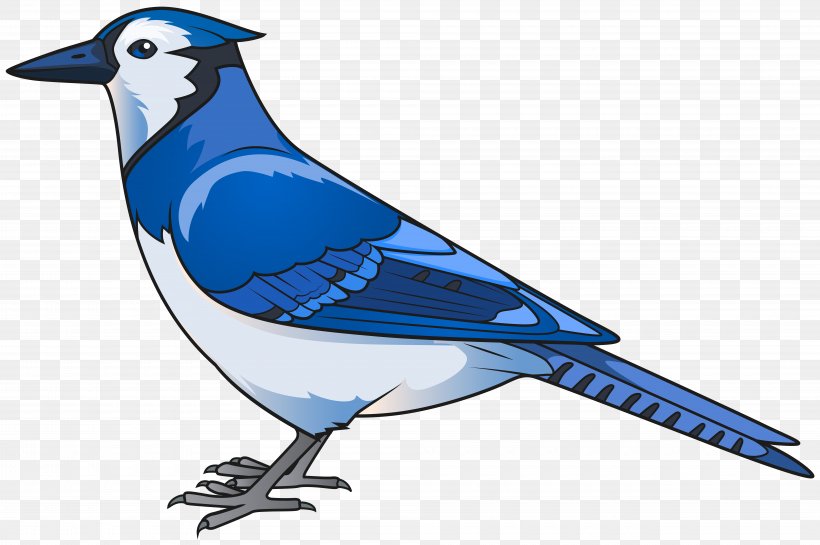 Hummingbird Parrot Western Bluebird Clip Art, PNG, 8000x5325px, Bird, Art, Artwork, Beak, Blue Download Free