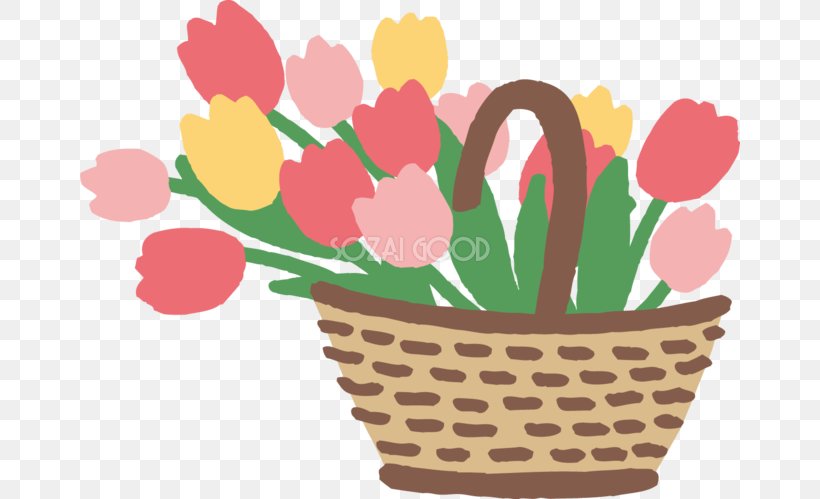 Clip Art Tulip Illustration Image Petal, PNG, 660x499px, Tulip, Baking Cup, Basketball, Flower, Flowering Plant Download Free