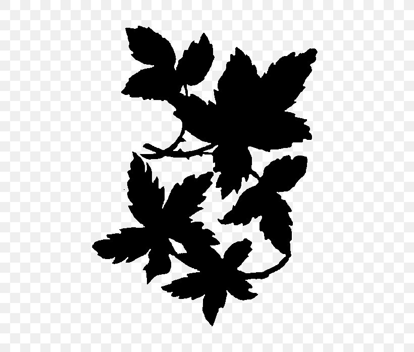 Flower Pattern Font Silhouette Leaf, PNG, 560x697px, Flower, Art, Blackandwhite, Botany, Branching Download Free