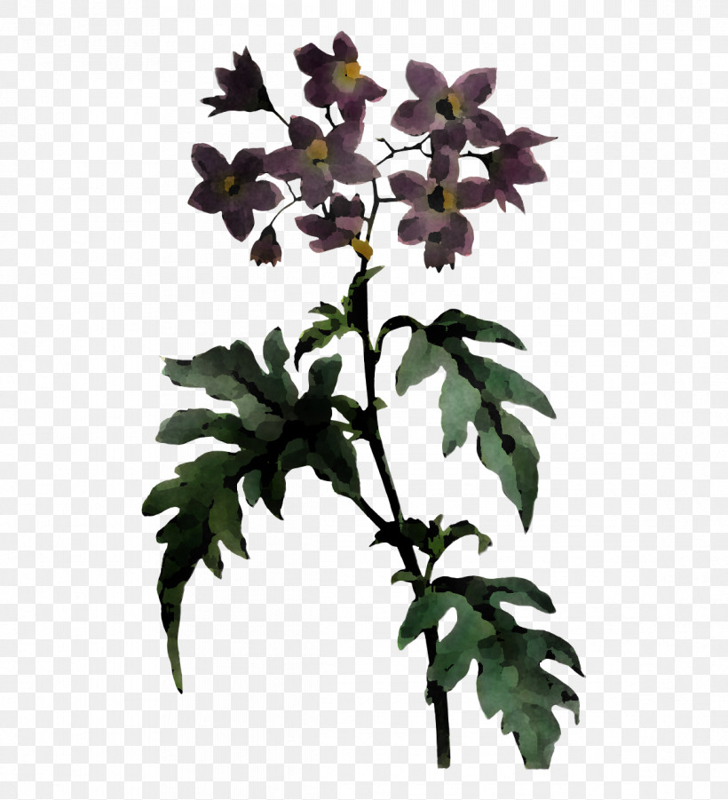 Flower Plant Stem Flowerpot Leaf Branch, PNG, 1164x1280px, Flower, Biology, Branch, Flowerpot, Herbaceous Plant Download Free