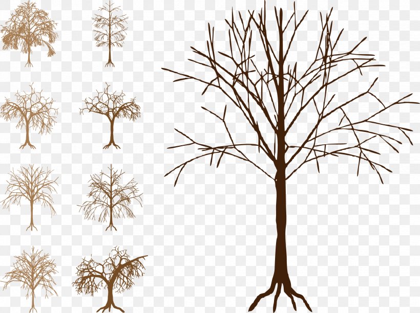 Silhouette Tree Trunk Clip Art, PNG, 2434x1819px, Silhouette, Autumn, Branch, Decor, Drawing Download Free