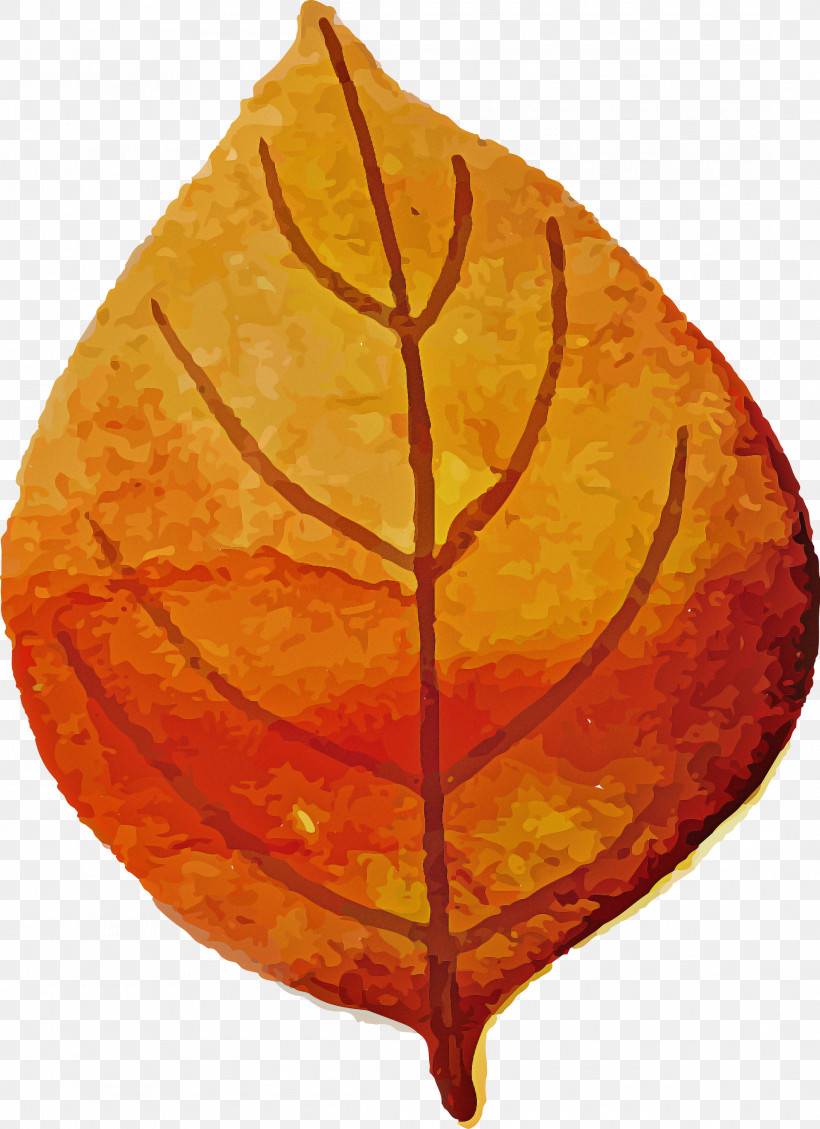 Autumn Leaf Colorful Leaf, PNG, 2177x2999px, Autumn Leaf, Biology, Colorful Leaf, Leaf, Plant Structure Download Free