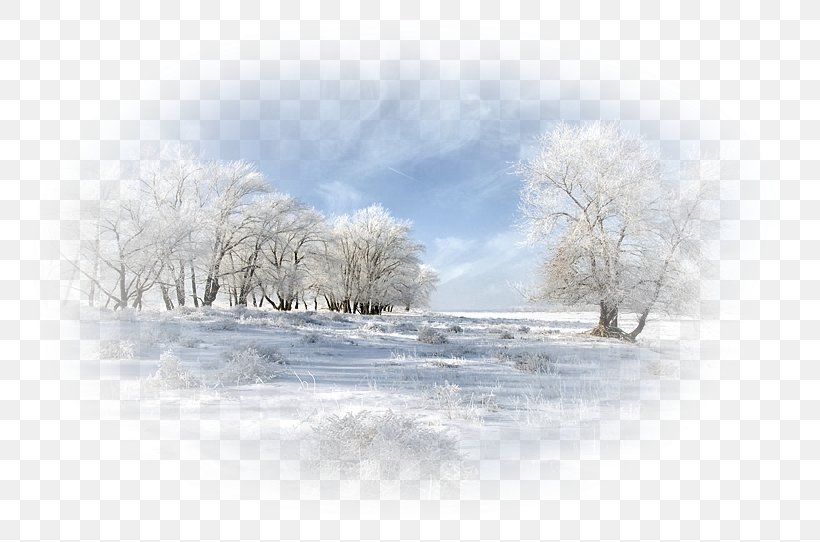 Greeting TinyPic .com .de, PNG, 800x542px, Greeting, Blizzard, Com, Freezing, Frost Download Free