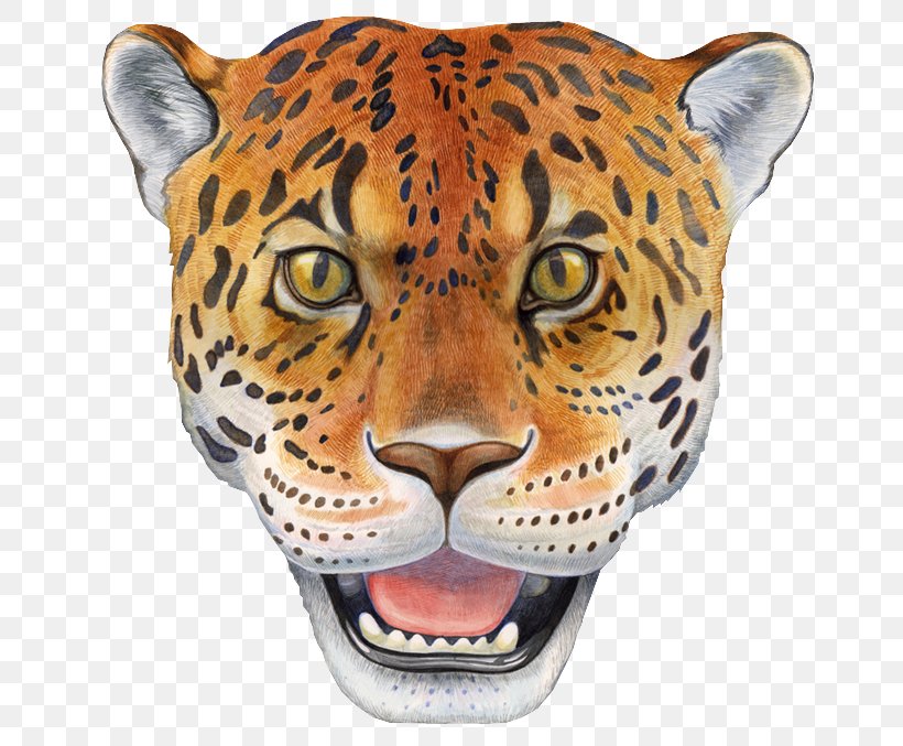 Leopard Jaguar Tiger Cheetah Lion, PNG, 668x677px, Leopard, Animal, Big Cats, Carnivoran, Cat Download Free