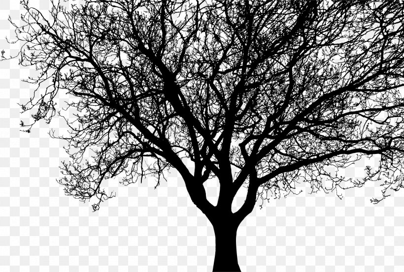 Silhouette Tree Branch Clip Art, PNG, 2400x1620px, Silhouette, Black And White, Branch, Drawing, Monochrome Download Free