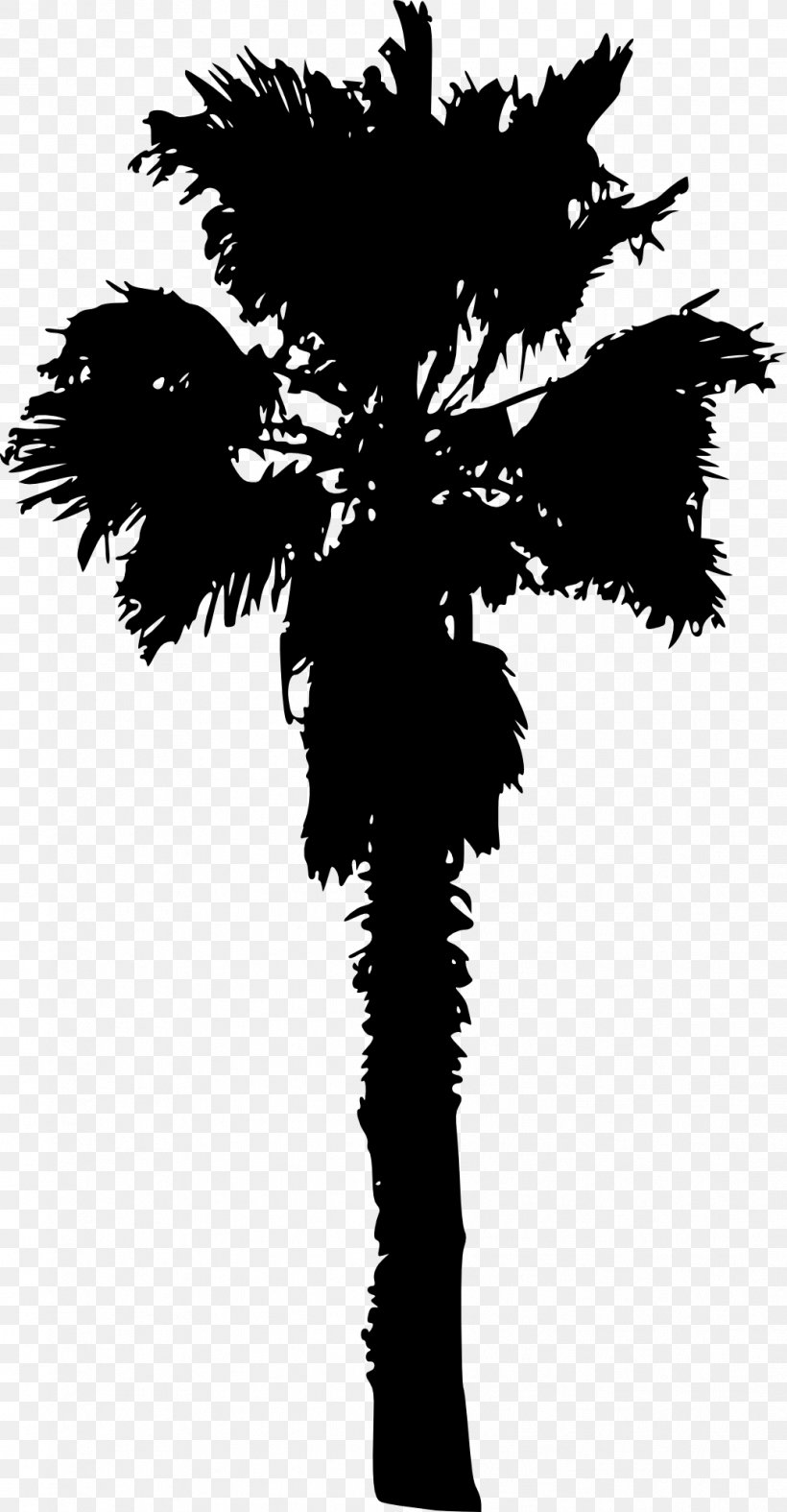 Tree Woody Plant Arecaceae, PNG, 1041x2000px, Tree, Arecaceae, Arecales, Black And White, Branch Download Free
